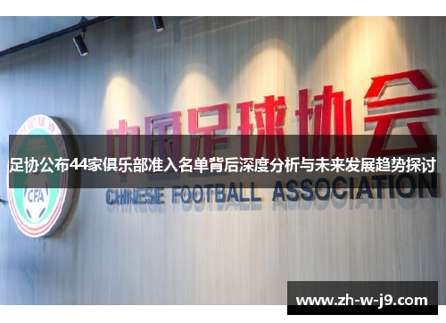 足协公布44家俱乐部准入名单背后深度分析与未来发展趋势探讨