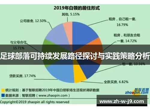 足球部落可持续发展路径探讨与实践策略分析