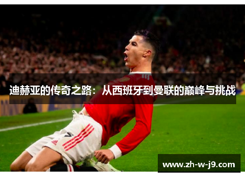 迪赫亚的传奇之路：从西班牙到曼联的巅峰与挑战