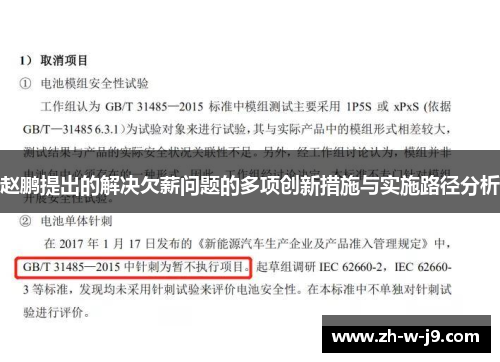 赵鹏提出的解决欠薪问题的多项创新措施与实施路径分析